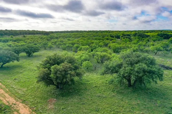 TBD Roney Road, Jacksboro, TX 76458