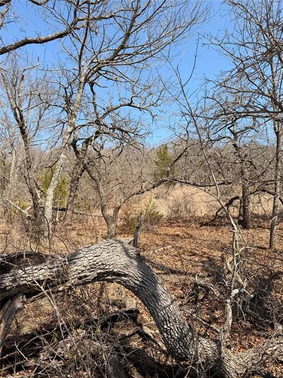 0 Silverleaf Drive, Sunset, TX 76270