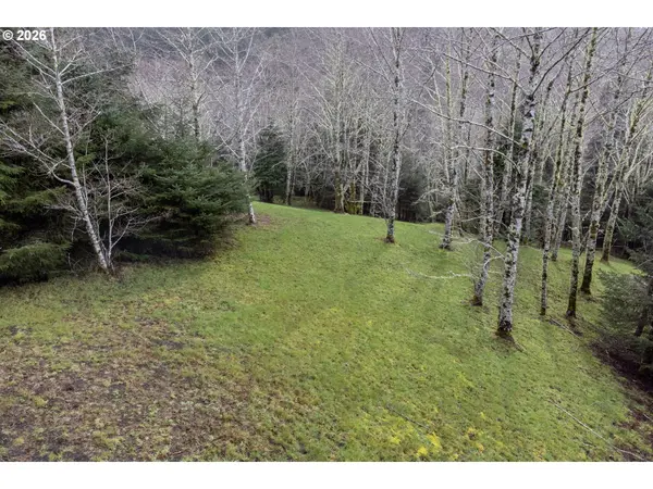 Aleolian Way, Neskowin, OR 97149