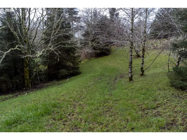 Aleolian Way, Neskowin, OR 97149