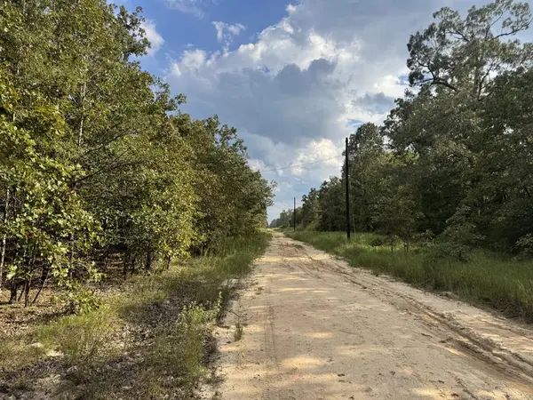 TBD PR 45615, Blossom, TX 75416