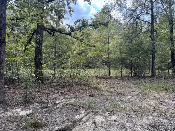 TBD PR 45615, Blossom, TX 75416