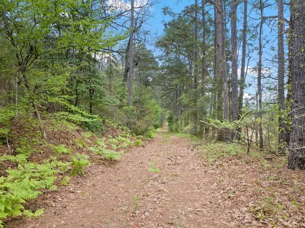 TBD CR 2920, Hughes Springs, TX 75656