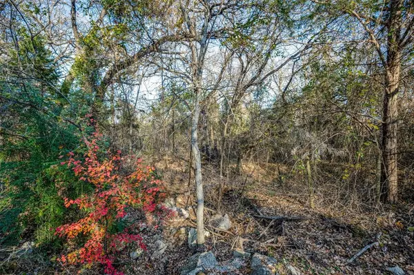 403 Woodland Drive, Copper Canyon, TX 75077