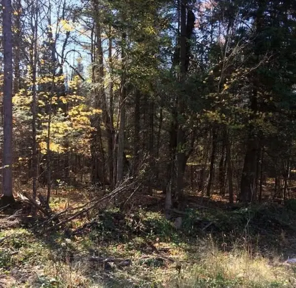 1301 Upper Spruce Hedge RD, Greater Madawaska, ON K0J 1G0