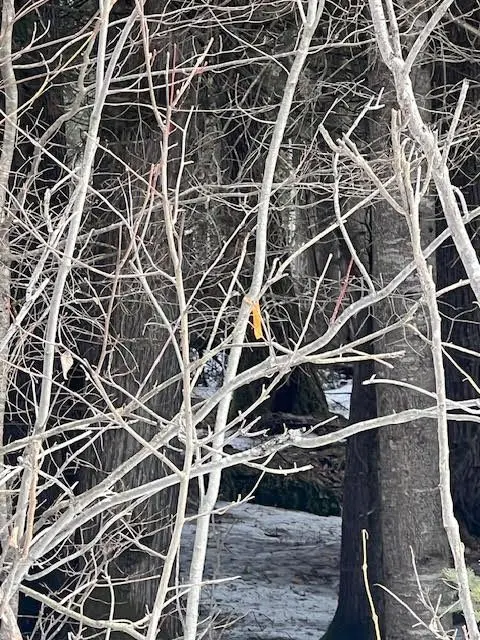 1301 Upper Spruce Hedge RD, Greater Madawaska, ON K0J 1G0