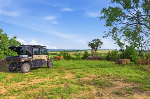 1370 Capstone Ridge Drive, Santo, TX 76472