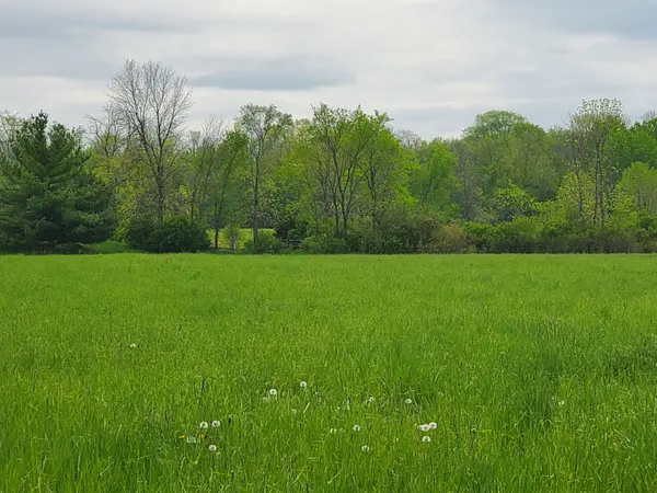 4677 Petworth RD, Frontenac, ON K0H 1V0