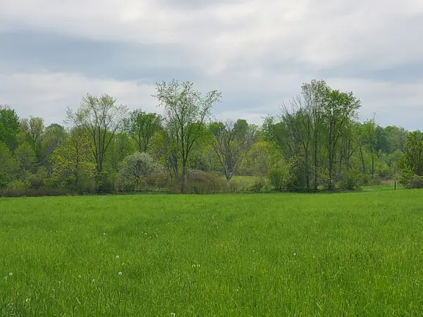 4677 Petworth RD, Frontenac, ON K0H 1V0