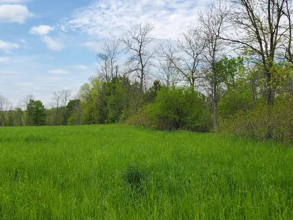 4677 Petworth RD, Frontenac, ON K0H 1V0