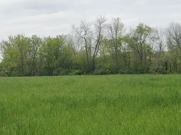 4677 Petworth RD, Frontenac, ON K0H 1V0