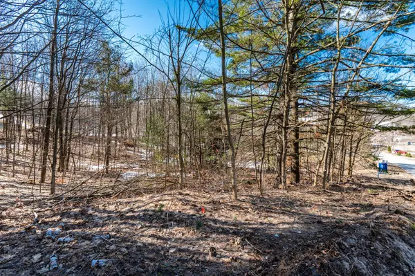 19 Birch Grove DR, Oro-medonte, ON L0L 2L0