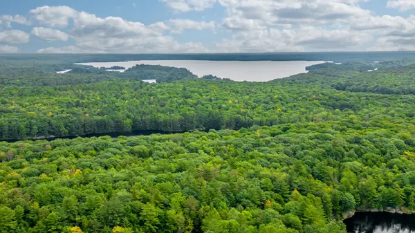 35 Little Long Lake RD, Muskoka Lakes, ON P0C 1J0