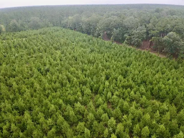 0000 cr 2124, Clarksville, TX 75426