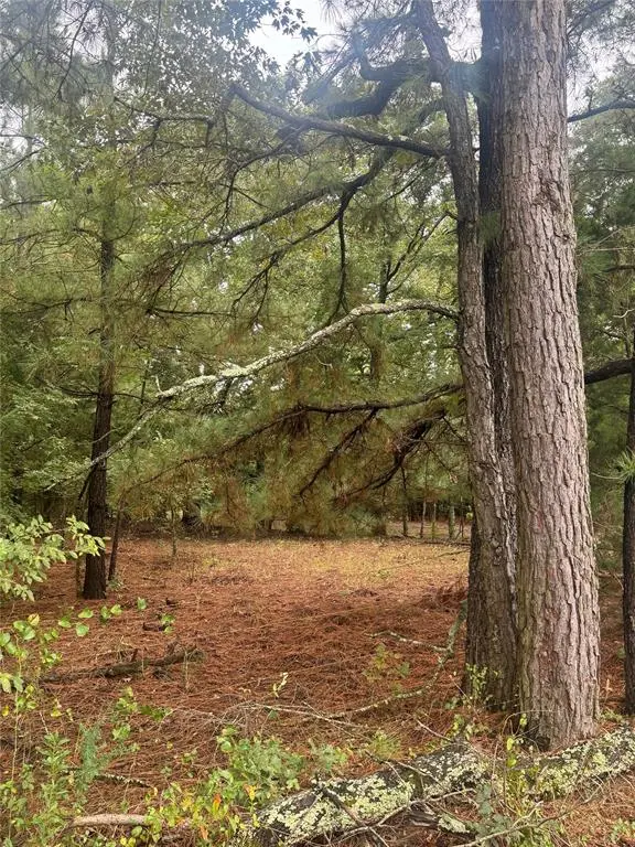 0000 cr 2124, Clarksville, TX 75426