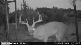 815 CR 2080, Lometa, TX 76853