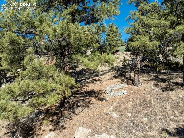 480 Arapaho RD, Lake George, CO 80827