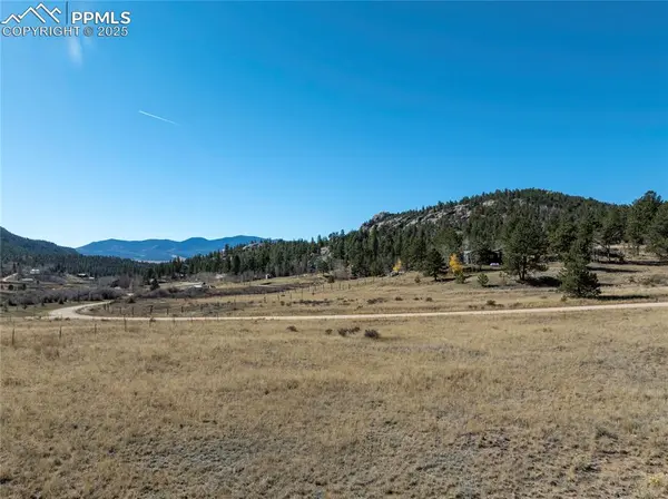 480 Arapaho RD, Lake George, CO 80827