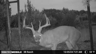 815 CR 2080, Lometa, TX 76853