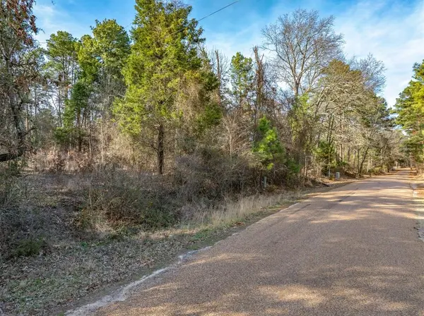 TBD County Road 3520, Brownsboro, TX 75756