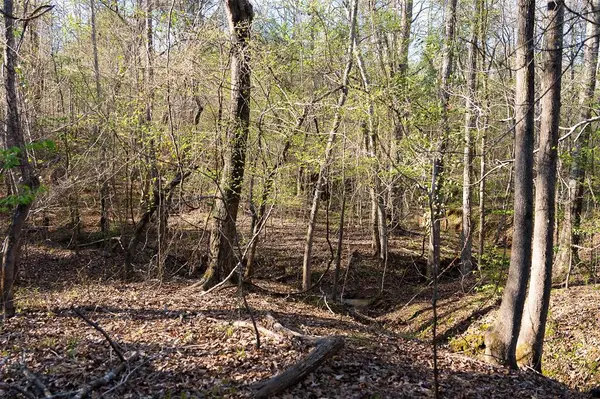 0 Farm to Market Road 747, Jacksonville, TX 75766