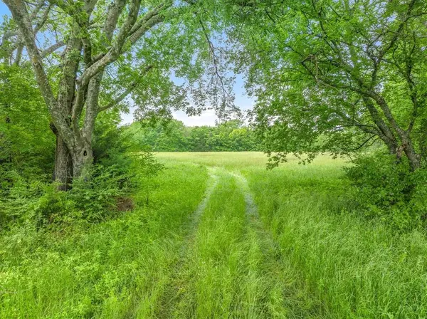 TBD FM 751 Road, Wills Point, TX 75169