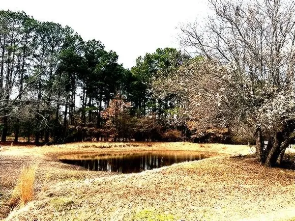 1525 Mansfield Road, Reno, TX 75462