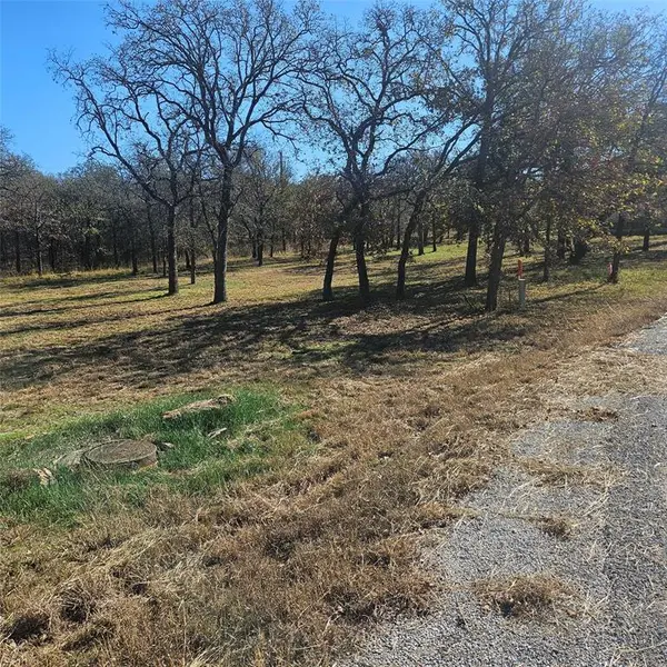 196 Johnston Lane, Runaway Bay, TX 76426