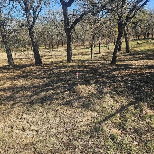 196 Johnston Lane, Runaway Bay, TX 76426