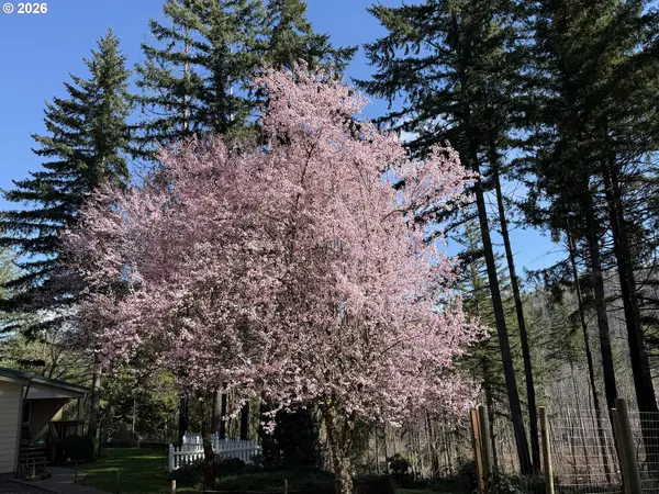 49400 EAGLE ROCK PL, Vida, OR 97488