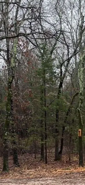 1291 RS CR 1150, Emory, TX 75440