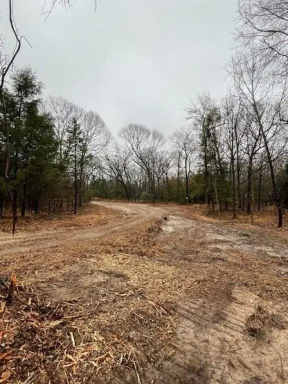 1291 RS CR 1150, Emory, TX 75440