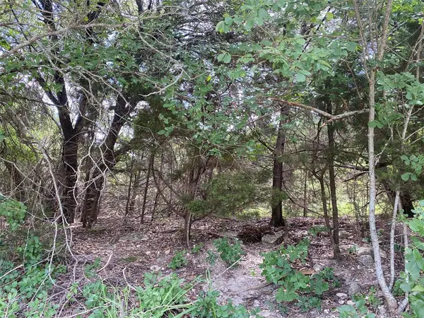 PR 1032 Tx-P7, Meridian, TX 76665