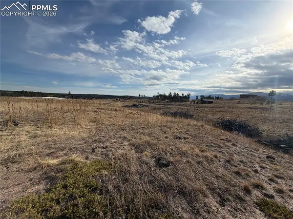 13810 Wildoak DR, Black Forest, CO 80908