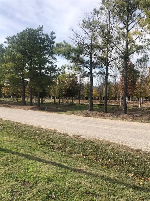 TBD Jenkins Road, Collinsville, TX 76233