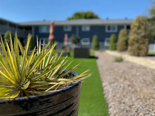 4950 Live Oak Street #204, Dallas, TX 75206