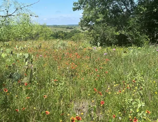 LOT 59 Comanche Lake Road, Comanche, TX 76442