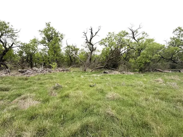 TBD CR 156, Breckenridge, TX 76424