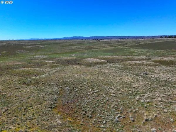 Dot RD #1, Bickleton, WA 99322