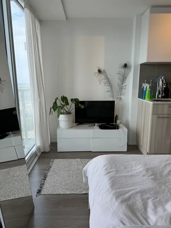 251 JARVIS ST #4411, Toronto C08, ON M5B 0C3