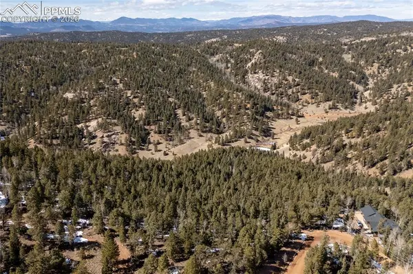 81 Haven RD, Divide, CO 80814