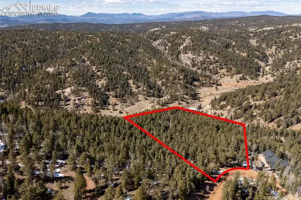 81 Haven RD, Divide, CO 80814