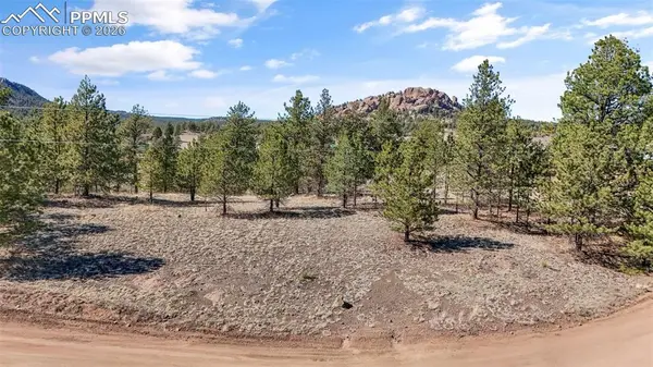 567 Ranch Resorts DR, Florissant, CO 80816