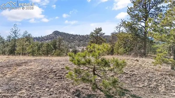 567 Ranch Resorts DR, Florissant, CO 80816