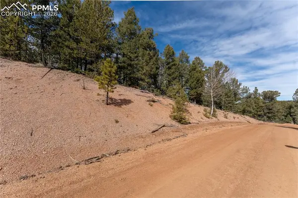 107 Haven RD, Divide, CO 80814