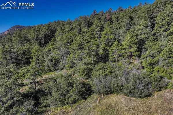 00 Columbine RD, Larkspur, CO 80118