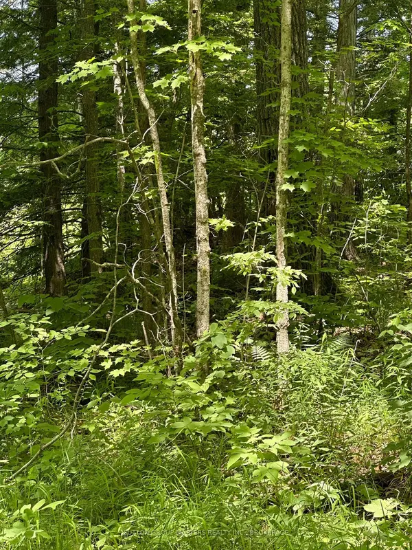 0 Maple Grove LN E, Frontenac, ON K0H 1V0