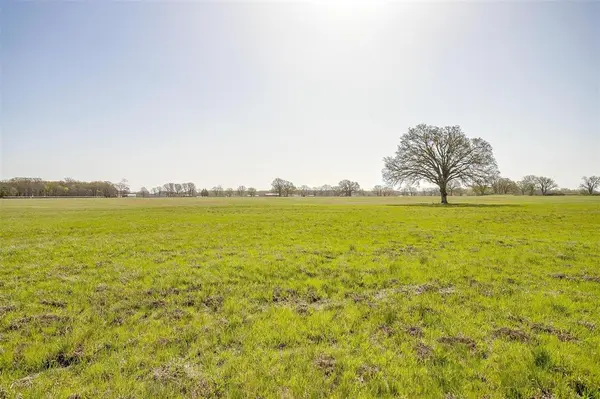 11833 Southview Drive, Kemp, TX 75143