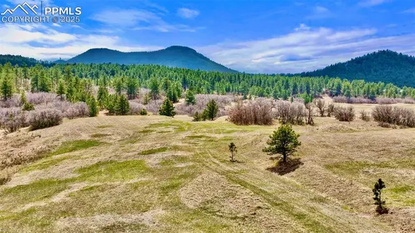 2 Perry Park RD, Larkspur, CO 80118
