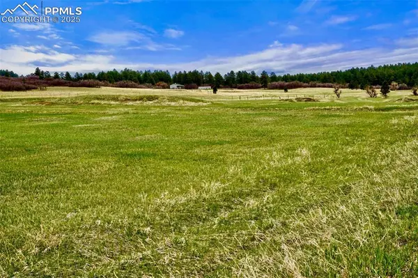 2 Perry Park RD, Larkspur, CO 80118